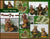 HOOT THE OWL ~ Class DVD