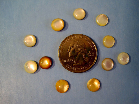 White Round Shell Cabochons