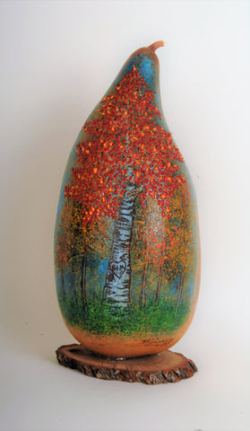 "RED ASPEN TREES IN AUTUMN" DVD Gourd Class