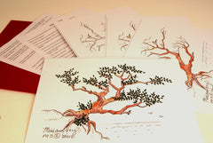 Monterey  Tree