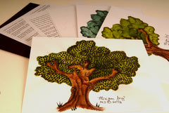 Old Tree