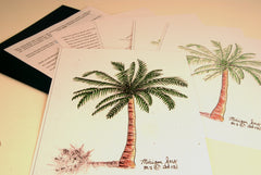 Palm Tree