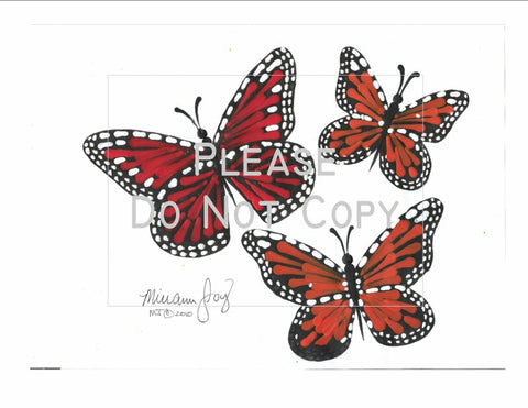 Butterflies pattern