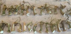 Coyote Gourd Stems - Ready for use / (12) to a Package!